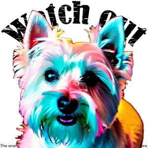 EGXgnChzCgeA NbVJo[ 45×45cm Aj}   NbV{̕t ` t@