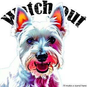 EGXgnChzCgeA NbVJo[ 45×45cm Aj}   NbV{̕t ` t@