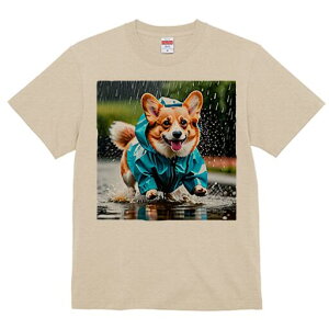 R[M[ TVc fB[X t@  t  vg JWA 킢 lԗp h ̃fUC ʔ J R[M[ CR[g