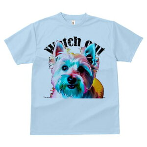 EGXgnChzCgeA TVc Y LbY t@  t  vg JWA 킢 lԗp h ̃fUC ʔ EGXgnChzCge