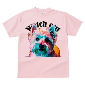 EGXgnChzCgeA TVc fB[X t@  t  vg JWA 킢 lԗp h ̃fUC ʔ EGXgnChzCgeA