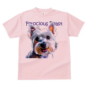 EGXgnChzCgeA TVc fB[X t@  t  vg JWA 킢 lԗp h ̃fUC ʔ EGXgnChzCgeA