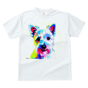 EGXgnChzCgeA TVc fB[X t@  t  vg JWA 킢 lԗp h ̃fUC ʔ EGXgnChzCgeA