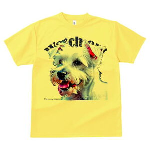 EGXgnChzCgeA TVc fB[X t@  t  vg JWA 킢 lԗp h ̃fUC ʔ EGXgnChzCgeA