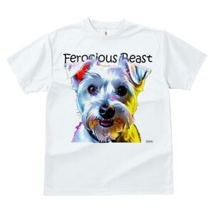 ~j`AViEU[ TVc fB[X t@  t  vg JWA 킢 lԗp h ̃fUC ʔ ~j`AViEU[