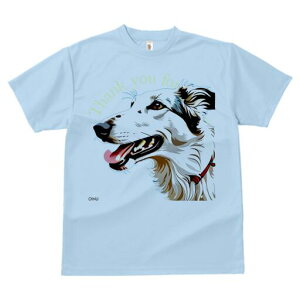 {]C TVc fB[X t@  t  vg JWA 킢 lԗp h ̃fUC ʔ {]C