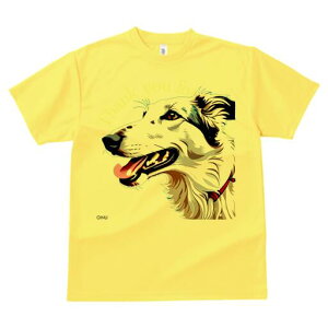 {]C TVc fB[X t@  t  vg JWA 킢 lԗp h ̃fUC ʔ {]C