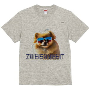 |jA TVc fB[X t@  t  vg JWA 킢 lԗp h ̃fUC ʔ TOX |jA