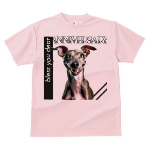 C^AO[nEh TVc fB[X t@  t  vg JWA 킢 lԗp h ̃fUC ʔ C^AO[nEh