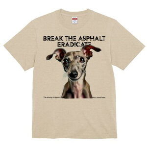 C^AO[nEh TVc fB[X t@  t  vg JWA 킢 lԗp h ̃fUC ʔ C^AO[nEh