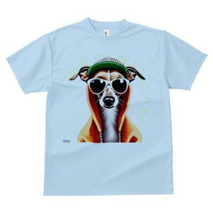 C^AO[nEh TVc fB[X t@  t  vg JWA 킢 lԗp h ̃fUC ʔ TOX C^AO[nEh Xq 