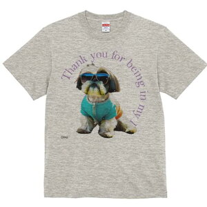 V[Y[ TVc fB[X t@  t  vg JWA 킢 lԗp h ̃fUC ʔ TOX V[Y[ 