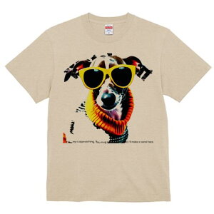 WbNbZeA TVc fB[X t@  t  vg JWA 킢 lԗp h ̃fUC ʔ TOX WbNbZeA Z[^[