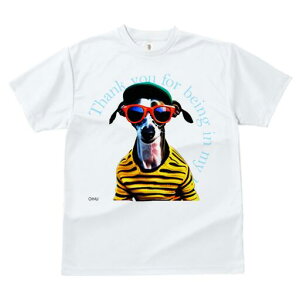 C^AO[nEh TVc fB[X t@  t  vg JWA 킢 lԗp h ̃fUC ʔ TOX C^AO[nEh Xq T