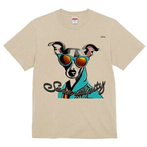 C^AO[nEh TVc fB[X t@  t  vg JWA 킢 lԗp h ̃fUC ʔ TOX C^AO[nEh 