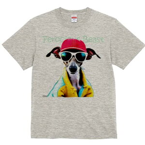 C^AO[nEh TVc fB[X t@  t  vg JWA 킢 lԗp h ̃fUC ʔ TOX C^AO[nEh Xq 