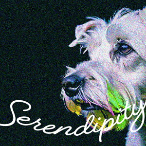 �E�G�X�g�n�C�����h�z���C�g�e���A �N�b�V�����J�o�[ 45×45cm �A�j�}���� ������� ���� �N�b�V�����{�̕t�� �����` ���t�@��