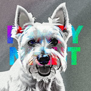 EGXgnChzCgeA NbVJo[ 45×45cm Aj}   NbV{̕t ` t@