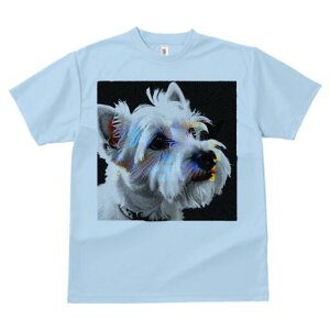 EGXgnChzCgeA TVc Y LbY t@  t  vg JWA 킢 lԗp h ̃fUC ʔ  EGXgnChzCg