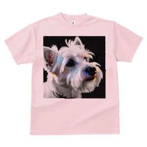 EGXgnChzCgeA TVc fB[X t@  t  vg JWA 킢 lԗp h ̃fUC ʔ  EGXgnChzCge