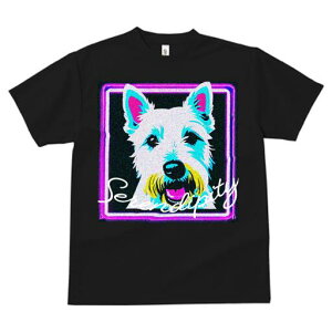 EGXgnChzCgeA TVc fB[X t@  t  vg JWA 킢 lԗp h ̃fUC ʔ lI EGXgnChzCg