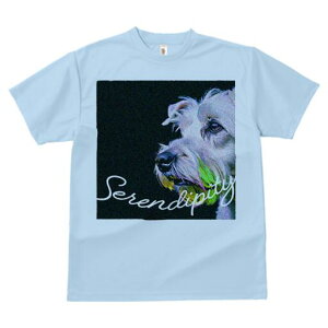 EGXgnChzCgeA TVc fB[X t@  t  vg JWA 킢 lԗp h ̃fUC ʔ EGXgnChzCgeA