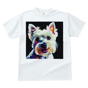 EGXgnChzCgeA TVc fB[X t@  t  vg JWA 킢 lԗp h ̃fUC ʔ  EGXgnChzCge