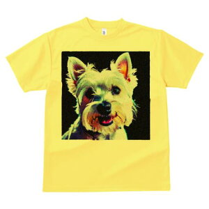 �E�G�X�g�n�C�����h�z���C�g�e���A T�V���c ���f�B�[�X ���t�@�� ���� �t�� ���� �v�����g �J�W���A�� ���킢�� �l�ԗp ���h ���������̃f�U�C�� �ʔ� �� �E�G�X�g�n�C�����h�z���C�g�e��