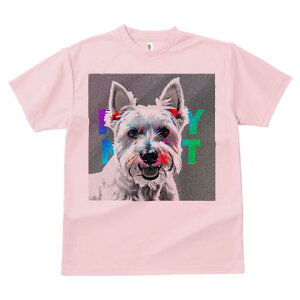 EGXgnChzCgeA TVc fB[X t@  t  vg JWA 킢 lԗp h ̃fUC ʔ EGXgnChzCgeA