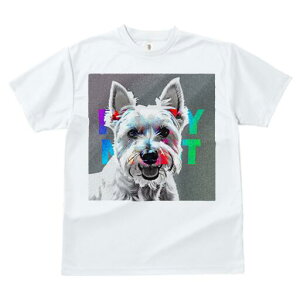 EGXgnChzCgeA TVc Y LbY t@  t  vg JWA 킢 lԗp h ̃fUC ʔ EGXgnChzCge