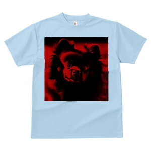 |jA TVc fB[X t@  t  vg JWA 킢 lԗp h ̃fUC ʔ |jA