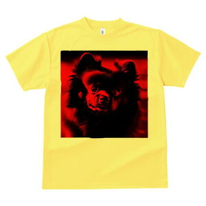 |jA TVc fB[X t@  t  vg JWA 킢 lԗp h ̃fUC ʔ |jA