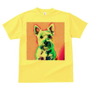 EGXgnChzCgeA TVc Y LbY t@  t  vg JWA 킢 lԗp h ̃fUC ʔ EGXgnChzCge