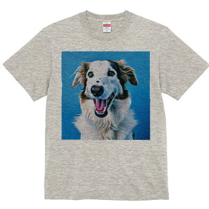 {]C TVc fB[X t@  t  vg JWA 킢 lԗp h ̃fUC ʔ {]C