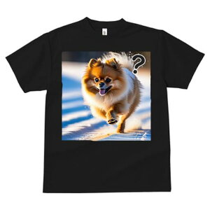 |jA TVc fB[X t@  t  vg JWA 킢 lԗp h ̃fUC ʔ  |jA