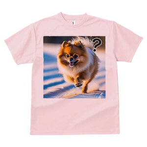 |jA TVc fB[X t@  t  vg JWA 킢 lԗp h ̃fUC ʔ  |jA