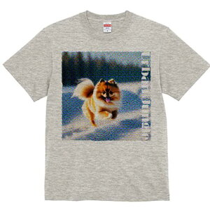 |jA TVc fB[X t@  t  vg JWA 킢 lԗp h ̃fUC ʔ |jA