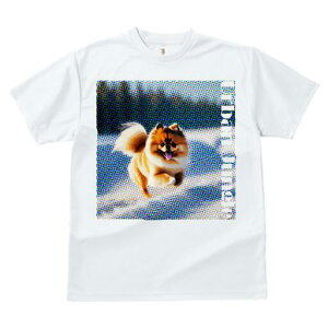 |jA TVc fB[X t@  t  vg JWA 킢 lԗp h ̃fUC ʔ |jA