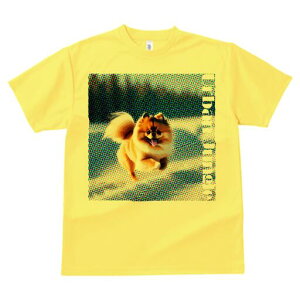 |jA TVc fB[X t@  t  vg JWA 킢 lԗp h ̃fUC ʔ |jA