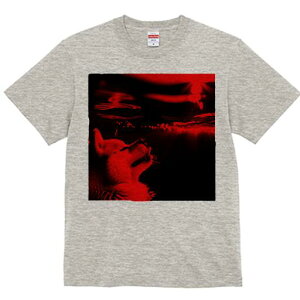 Č TVc fB[X t@  t  vg JWA 킢 lԗp h ̃fUC ʔ  Č Ɩ