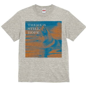 Č TVc fB[X t@  t  vg JWA 킢 lԗp h ̃fUC ʔ Č