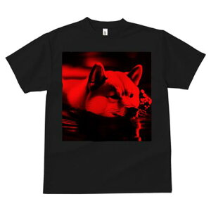 Č TVc fB[X t@  t  vg JWA 킢 lԗp h ̃fUC ʔ  Č 