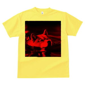 Hc TVc fB[X t@  t  vg JWA 킢 lԗp h ̃fUC ʔ  Hc