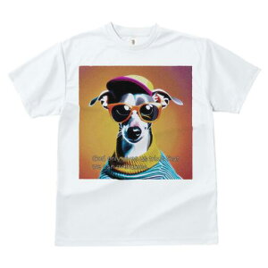 C^AO[nEh TVc fB[X t@  t  vg JWA 킢 lԗp h ̃fUC ʔ Xq C^AO[nEh TOX 