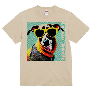 WbNbZeA TVc fB[X t@  t  vg JWA 킢 lԗp h ̃fUC ʔ TOX WbNbZeA