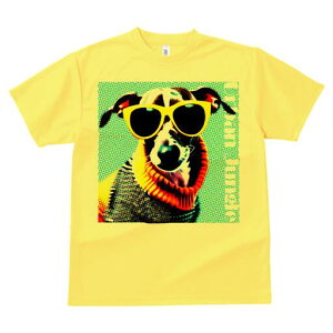 WbNbZeA TVc fB[X t@  t  vg JWA 킢 lԗp h ̃fUC ʔ TOX WbNbZeA