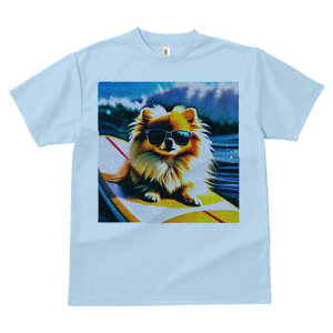 |jA TVc fB[X t@  t  vg JWA 킢 lԗp h ̃fUC ʔ TOX |jA T[t{[h C