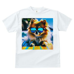 |jA TVc fB[X t@  t  vg JWA 킢 lԗp h ̃fUC ʔ TOX |jA C  T[t{[h