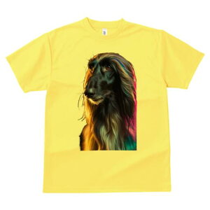 AtKnEh TVc fB[X t@  t  vg JWA 킢 lԗp h ̃fUC ʔ Jt AtKnEh wAX^C