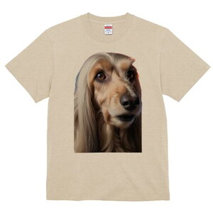 AtKnEh TVc fB[X t@  t  vg JWA 킢 lԗp h ̃fUC ʔ AtKnEh